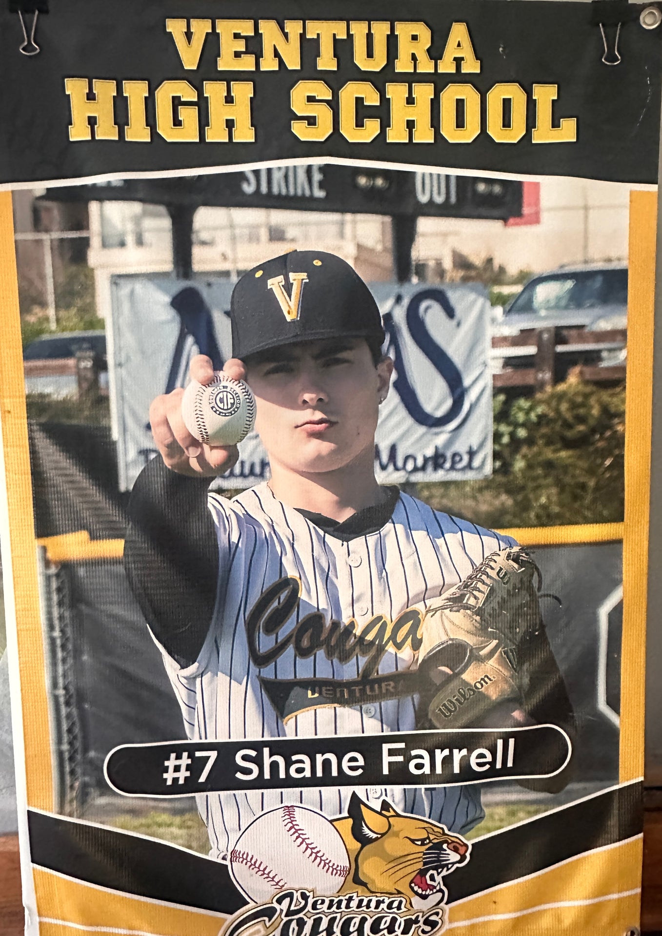 Shane1_36x54